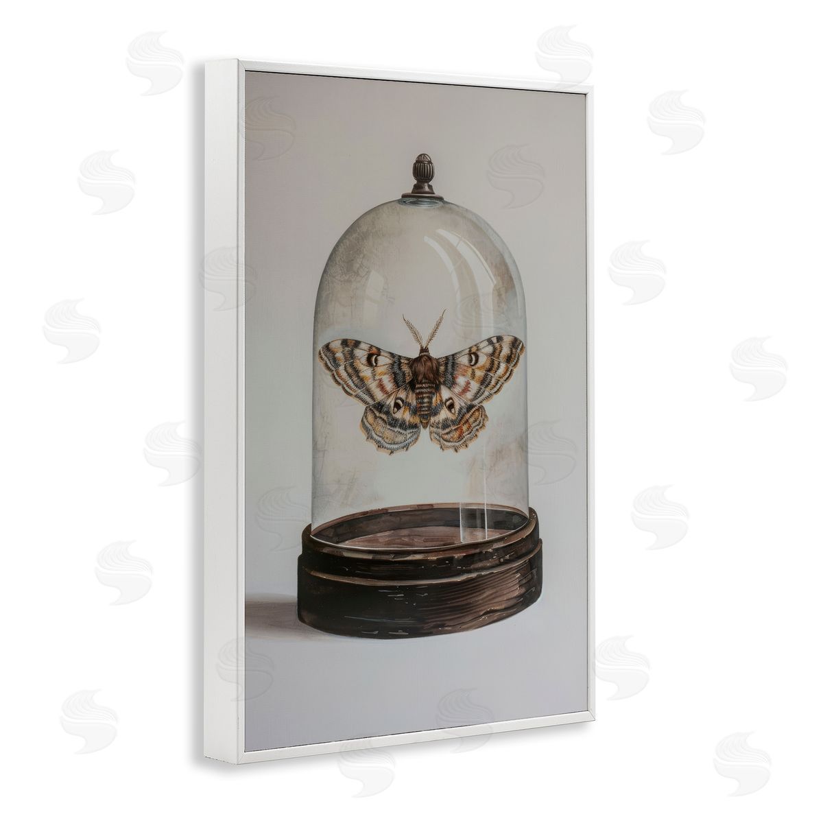 Petal Prints Design Moth in Glass Cloche White Framed Giclee Wall Art Print