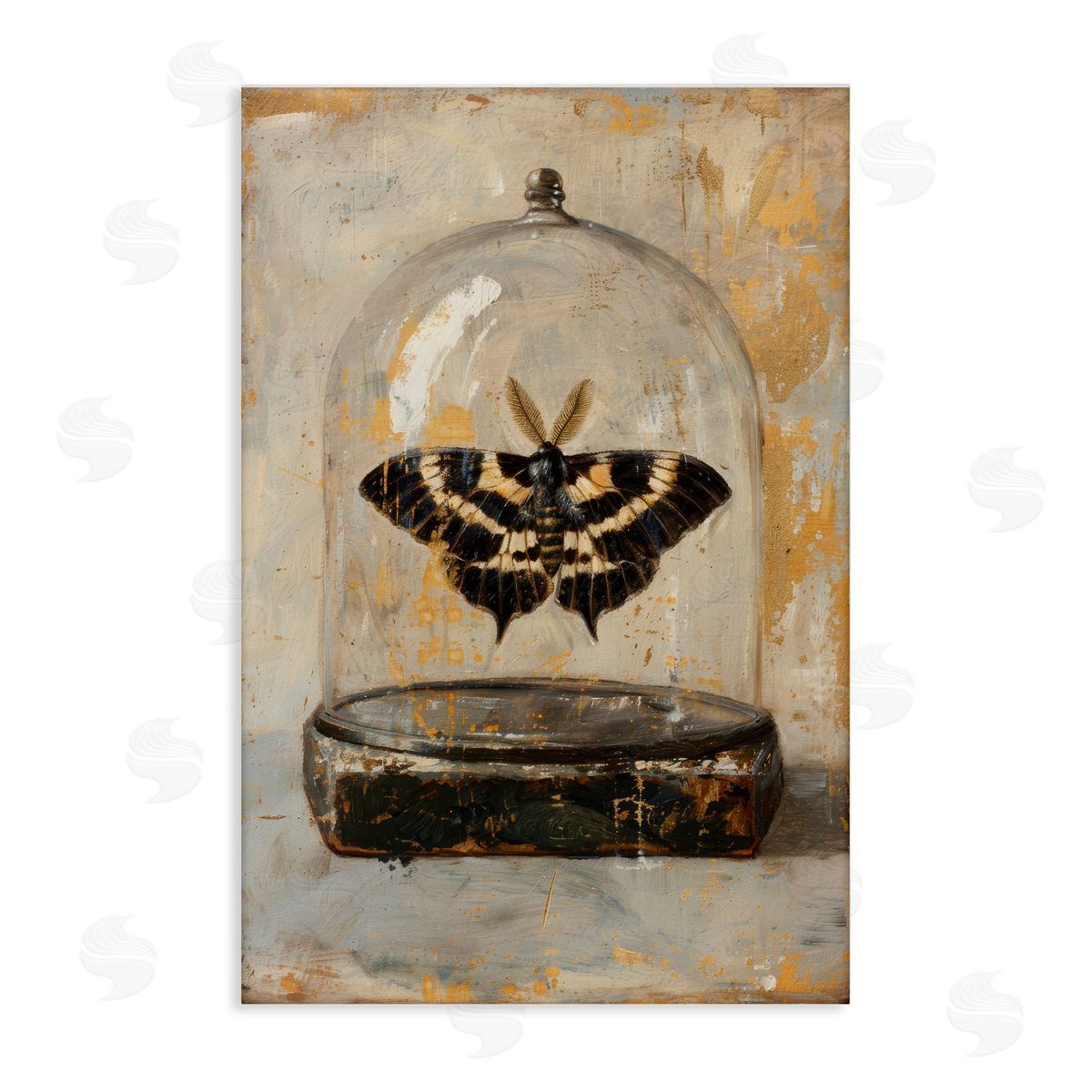 Petal Prints Design Rustic Moth in Glass Canvas Wall Art Print