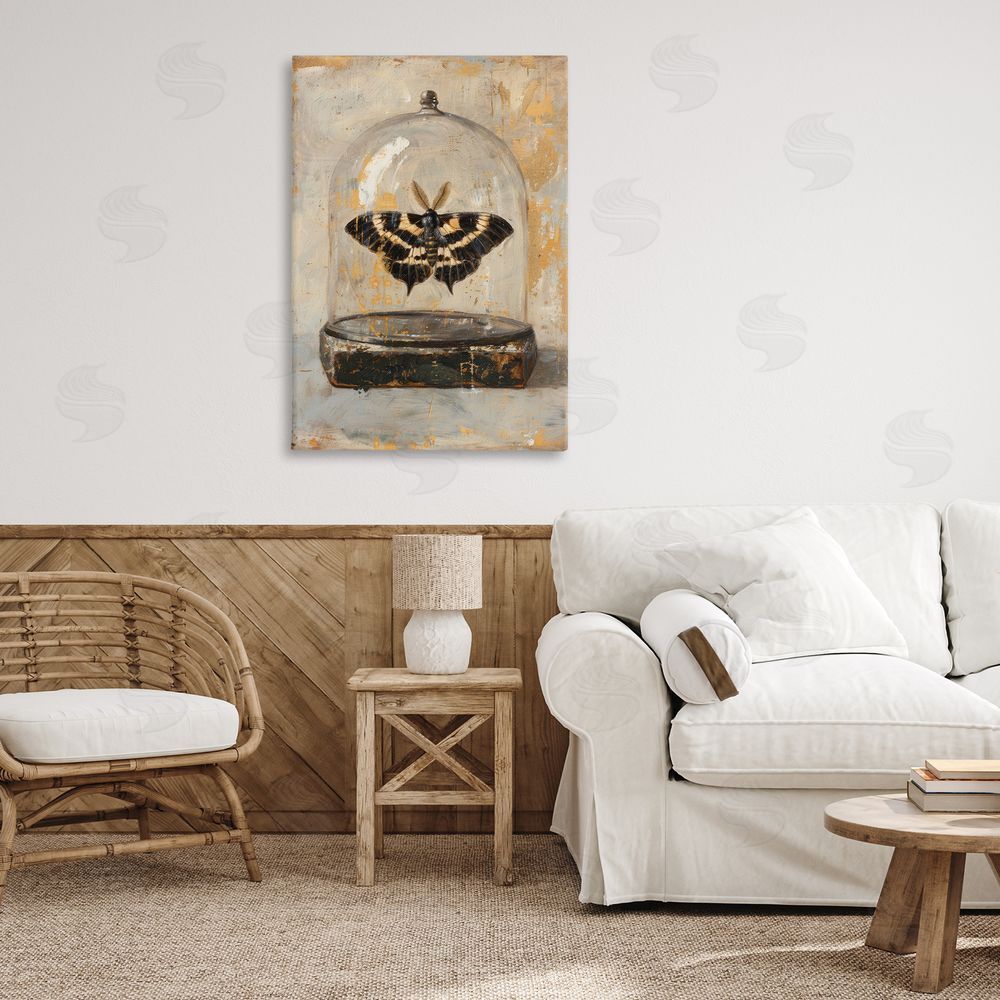 Petal Prints Design Rustic Moth in Glass Canvas Wall Art Print in Room