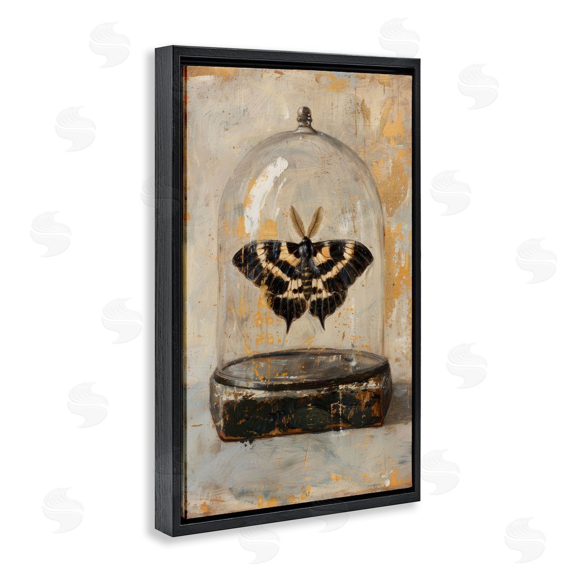 Petal Prints Design Rustic Moth in Glass Black Floating Frame Canvas Wall Art Print