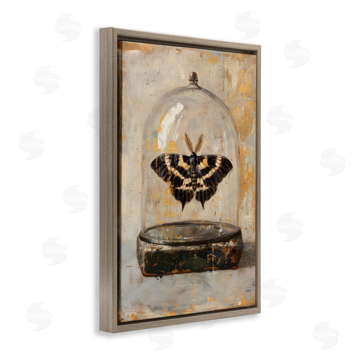 Petal Prints Design Rustic Moth in Glass Brown Floating Frame Canvas Wall Art Print