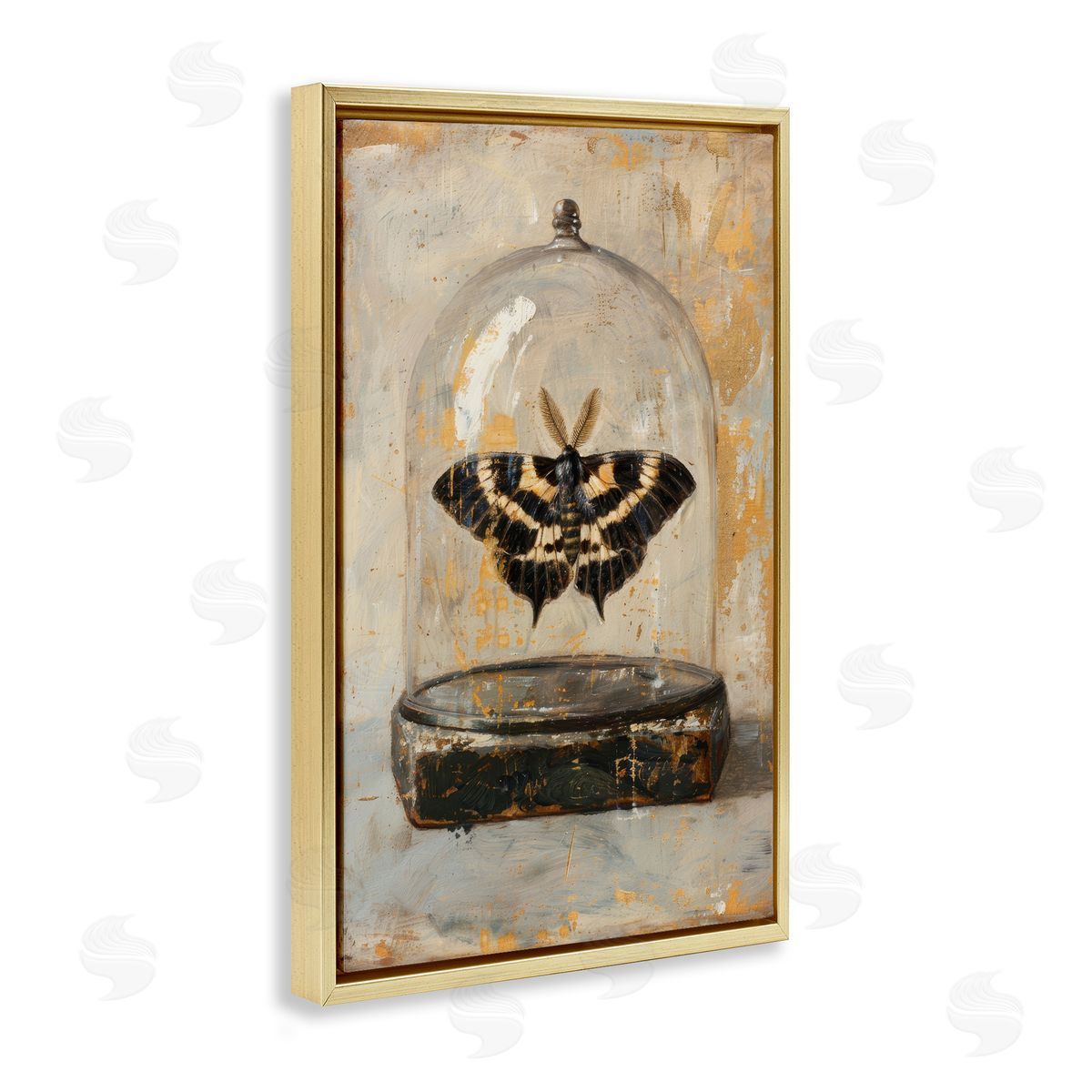 Petal Prints Design Rustic Moth in Glass Gold Floating Frame Canvas Wall Art Print