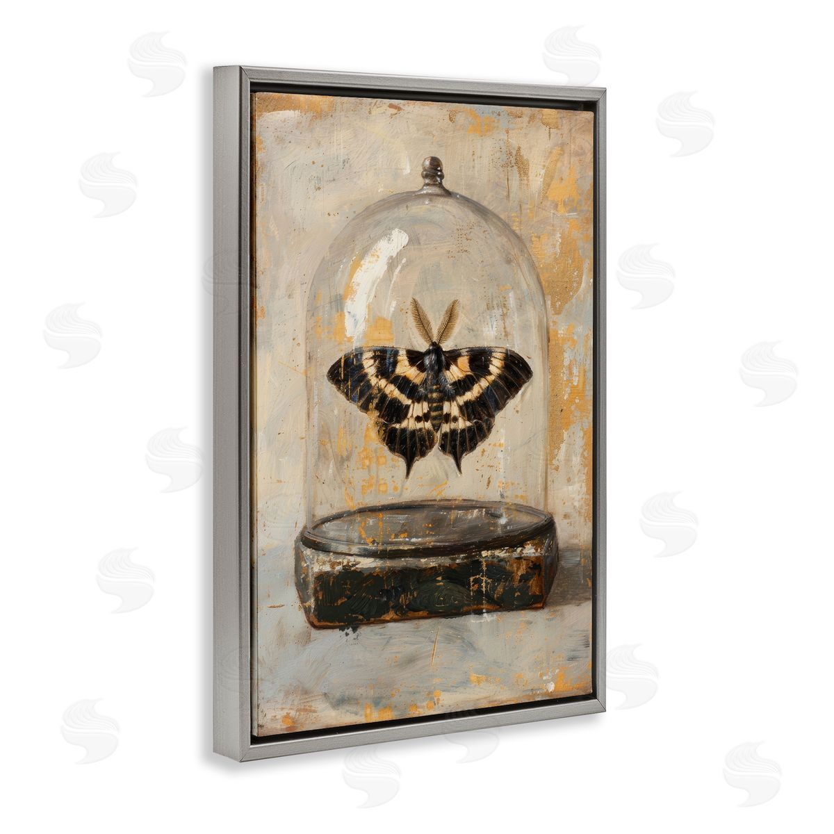 Petal Prints Design Rustic Moth in Glass Gray Floating Frame Canvas Wall Art Print