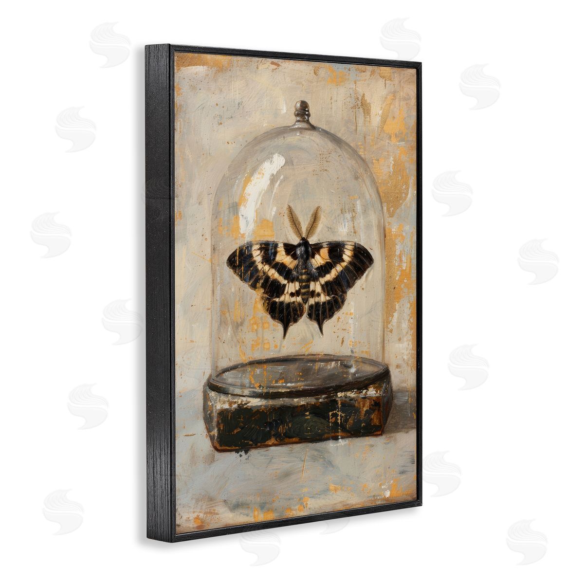 Petal Prints Design Rustic Moth in Glass Black Framed Giclee Wall Art Print