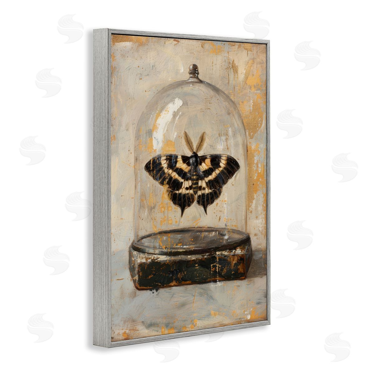 Petal Prints Design Rustic Moth in Glass Gray Framed Giclee Wall Art Print