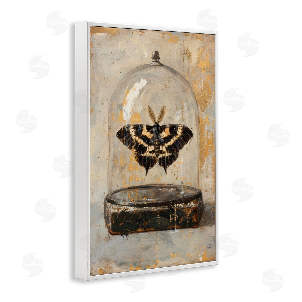 Petal Prints Design Rustic Moth in Glass White Framed Giclee Wall Art Print