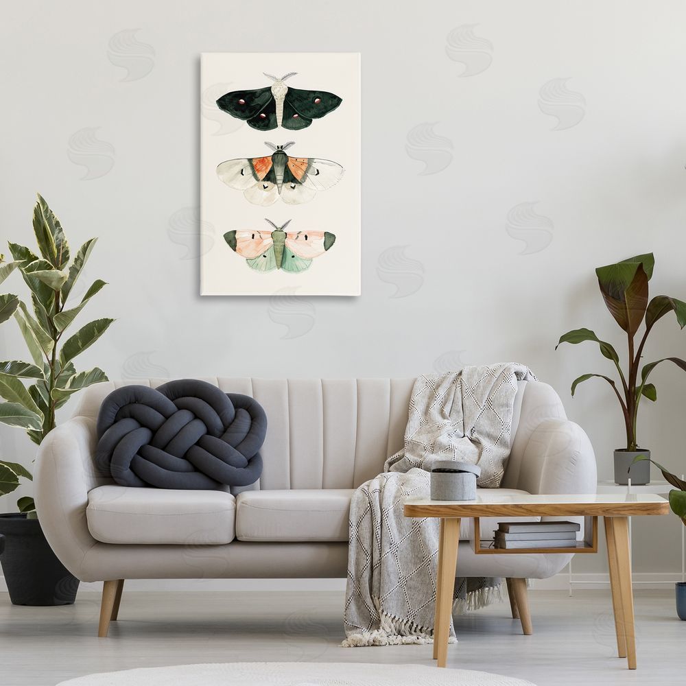 Petal Prints Design Assorted Moth Trio Canvas Wall Art Print in Room