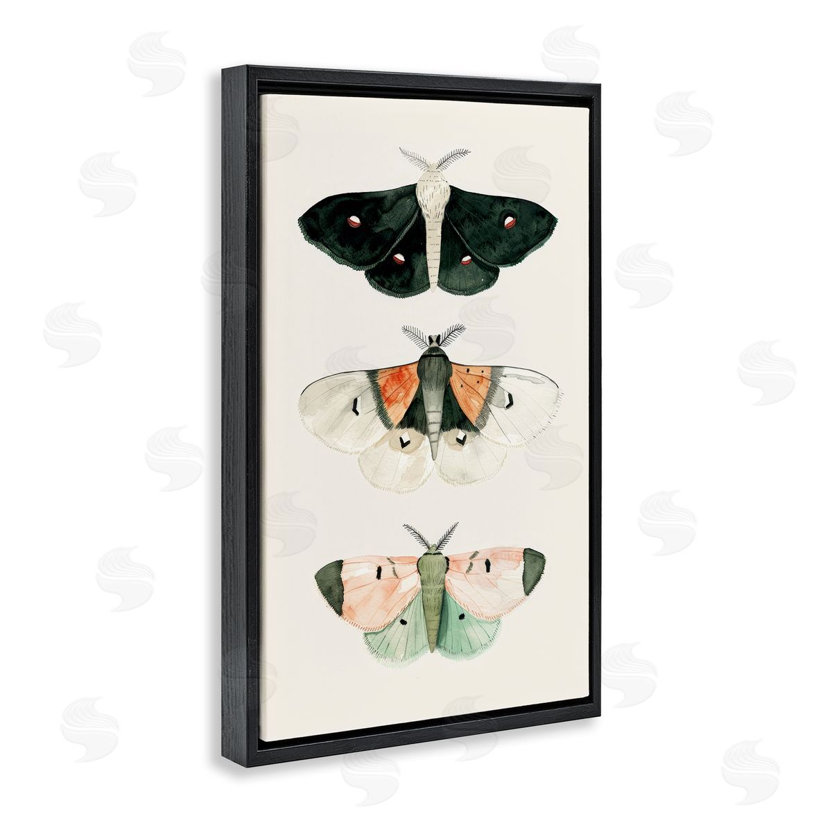 Petal Prints Design Assorted Moth Trio Black Floating Frame Canvas Wall Art Print