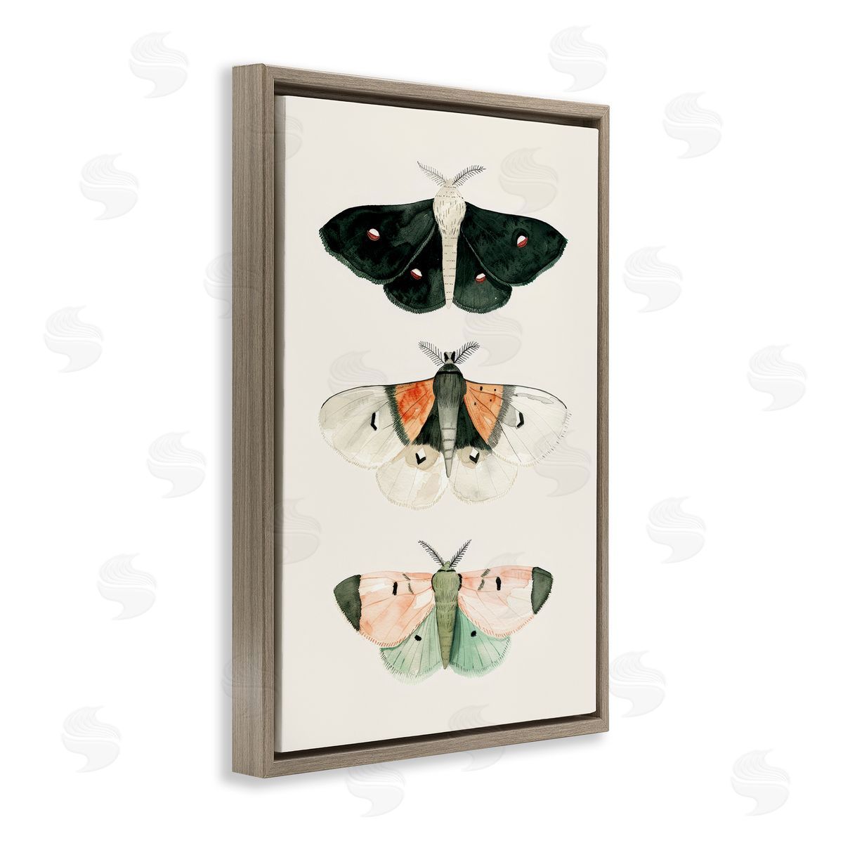 Petal Prints Design Assorted Moth Trio Brown Floating Frame Canvas Wall Art Print