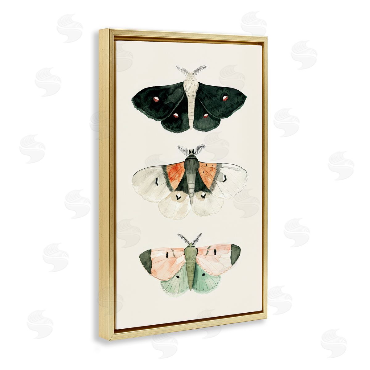 Petal Prints Design Assorted Moth Trio Gold Floating Frame Canvas Wall Art Print