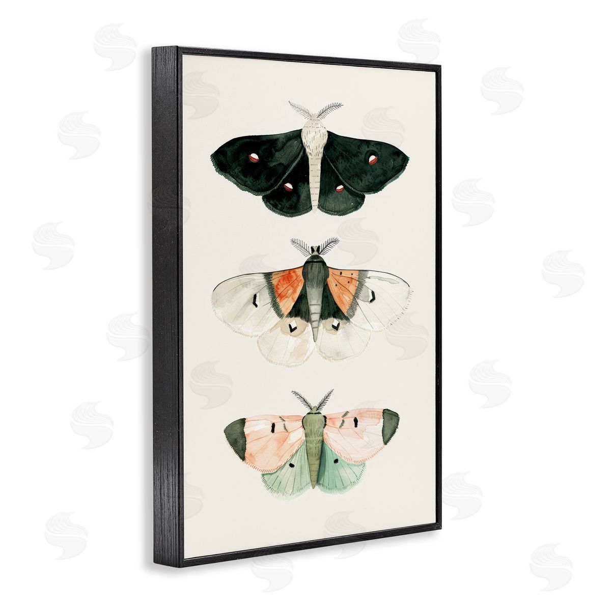 Petal Prints Design Assorted Moth Trio Black Framed Giclee Wall Art Print