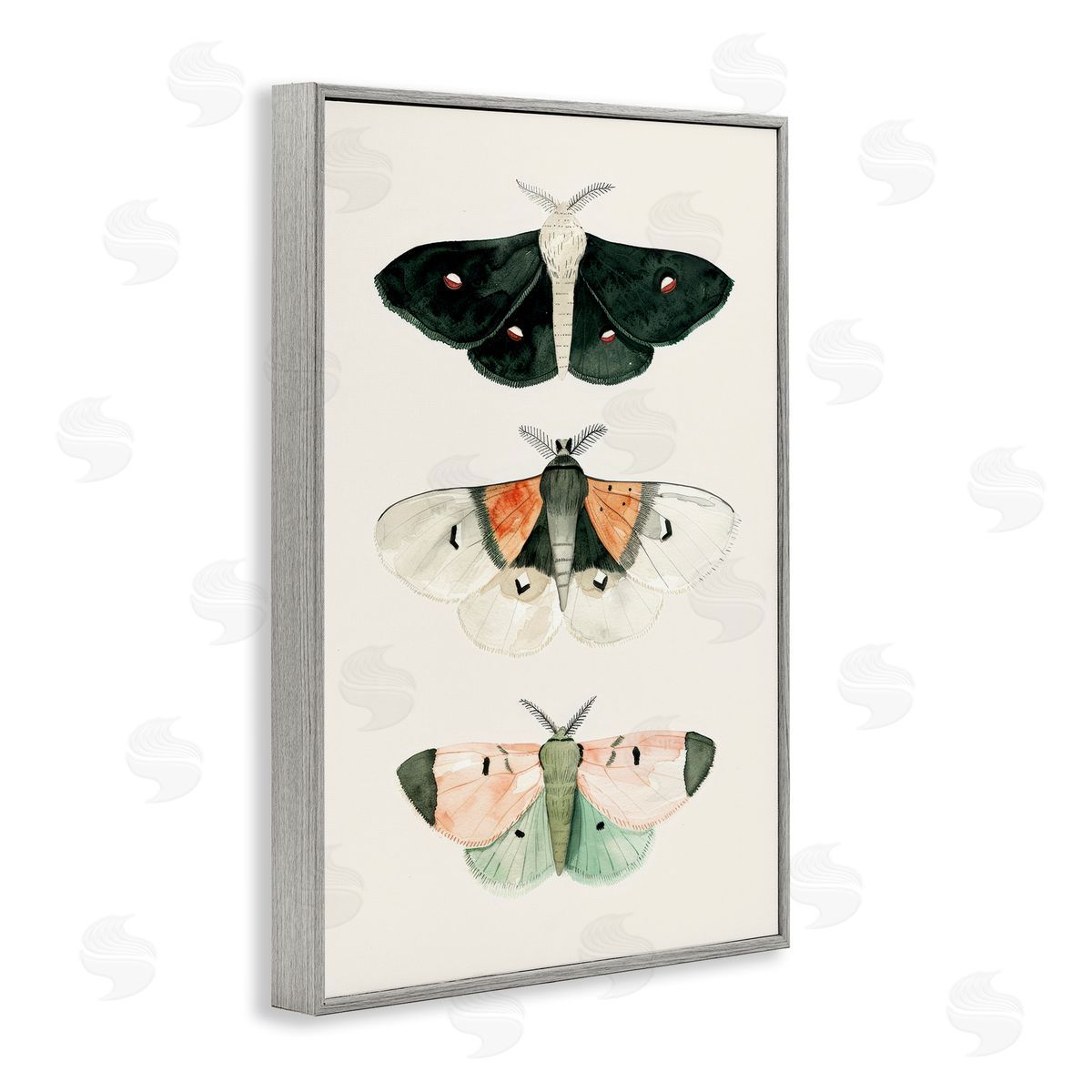 Petal Prints Design Assorted Moth Trio Gray Framed Giclee Wall Art Print