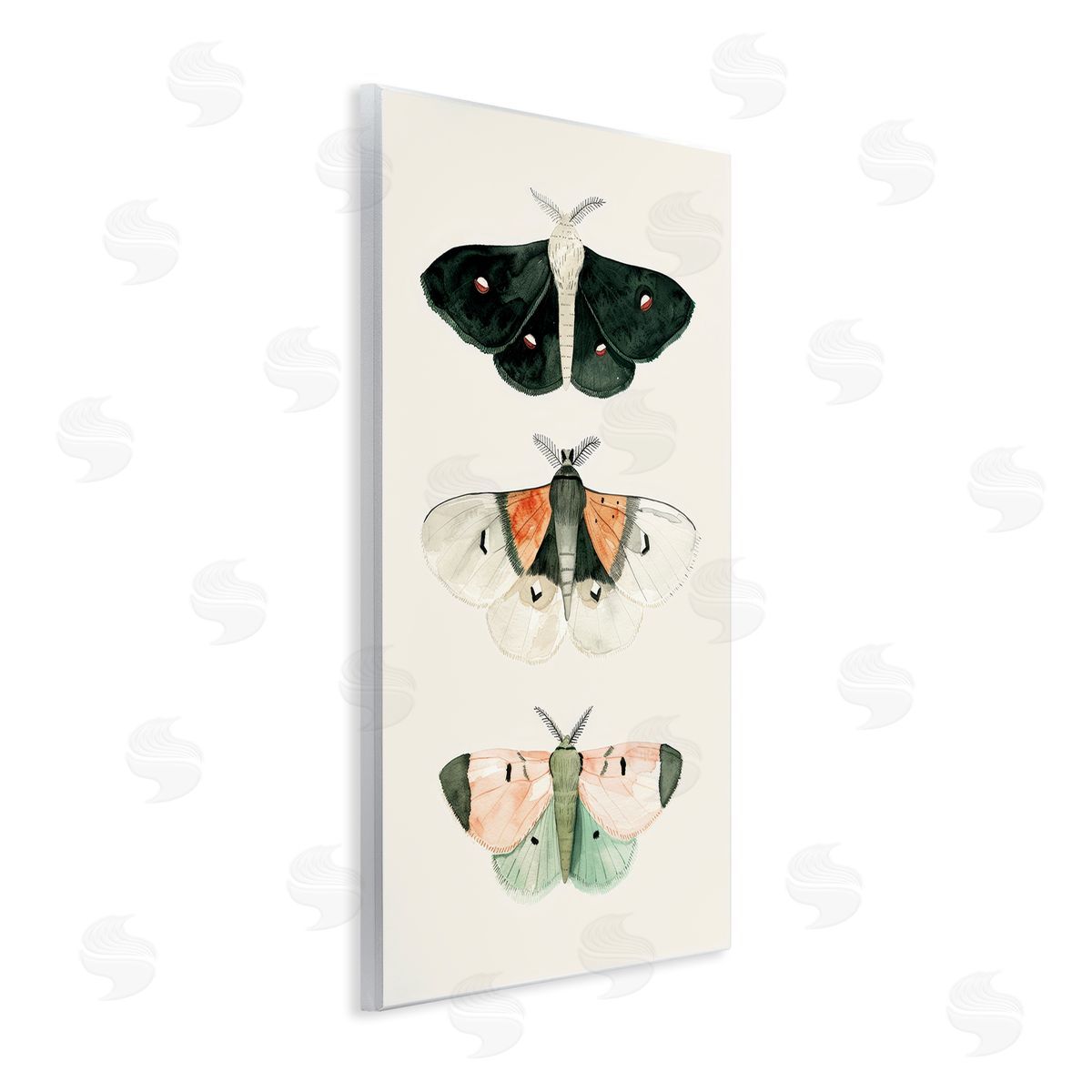 Petal Prints Design Assorted Moth Trio Wooden Wall Plaque Art Print