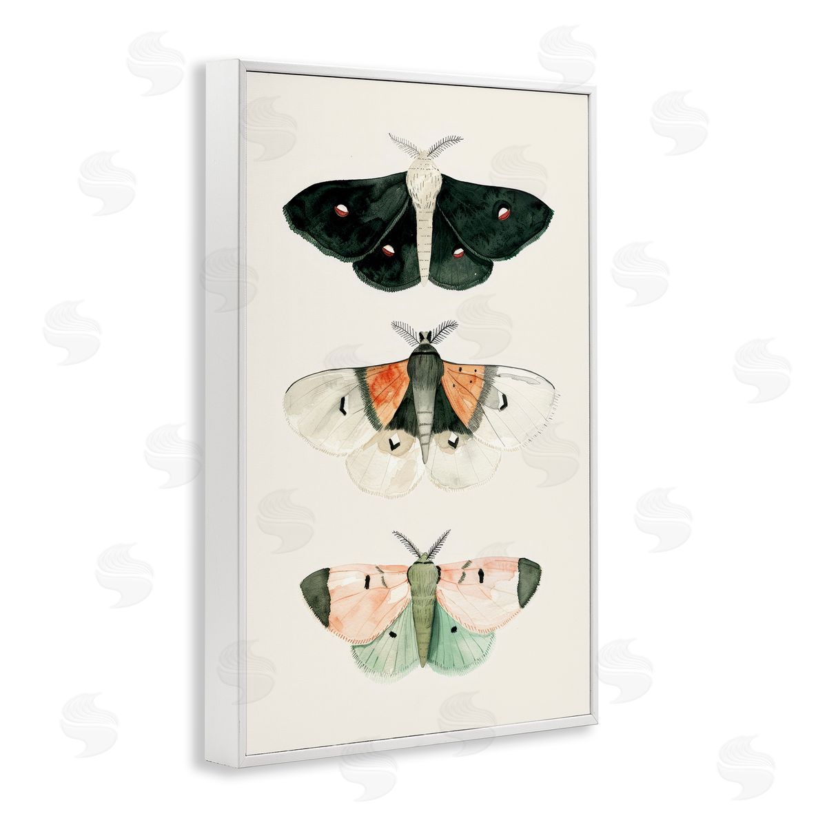 Petal Prints Design Assorted Moth Trio White Framed Giclee Wall Art Print