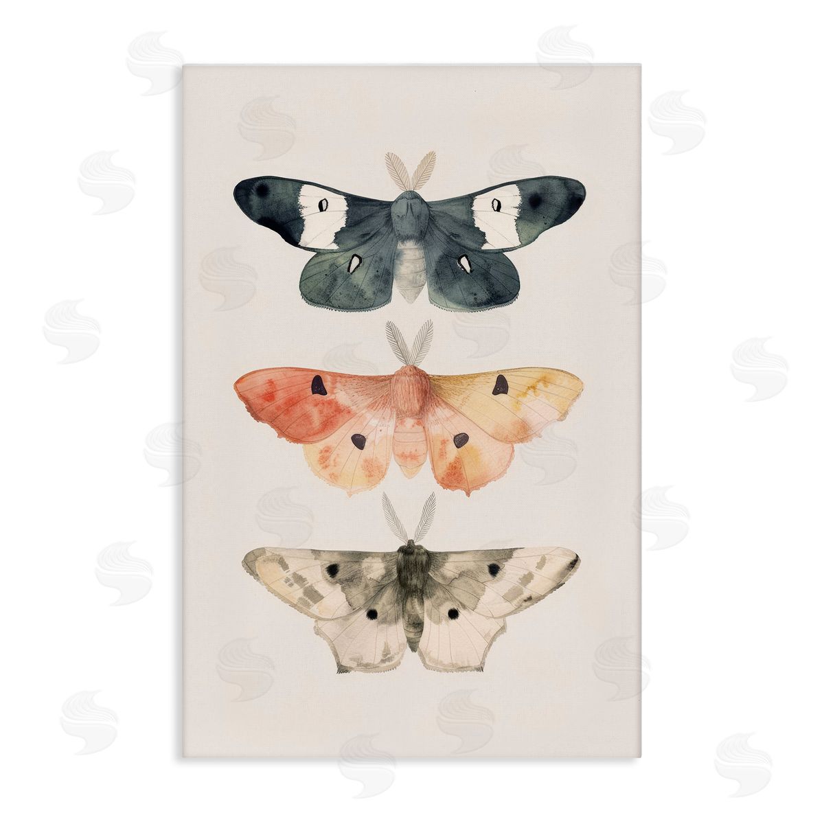 Petal Prints Design Watercolor Moth Trio Canvas Wall Art Print