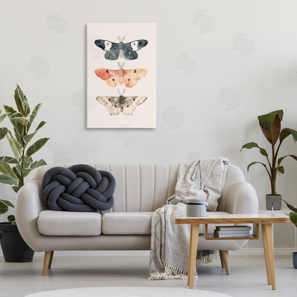 Petal Prints Design Watercolor Moth Trio Canvas Wall Art Print in Room