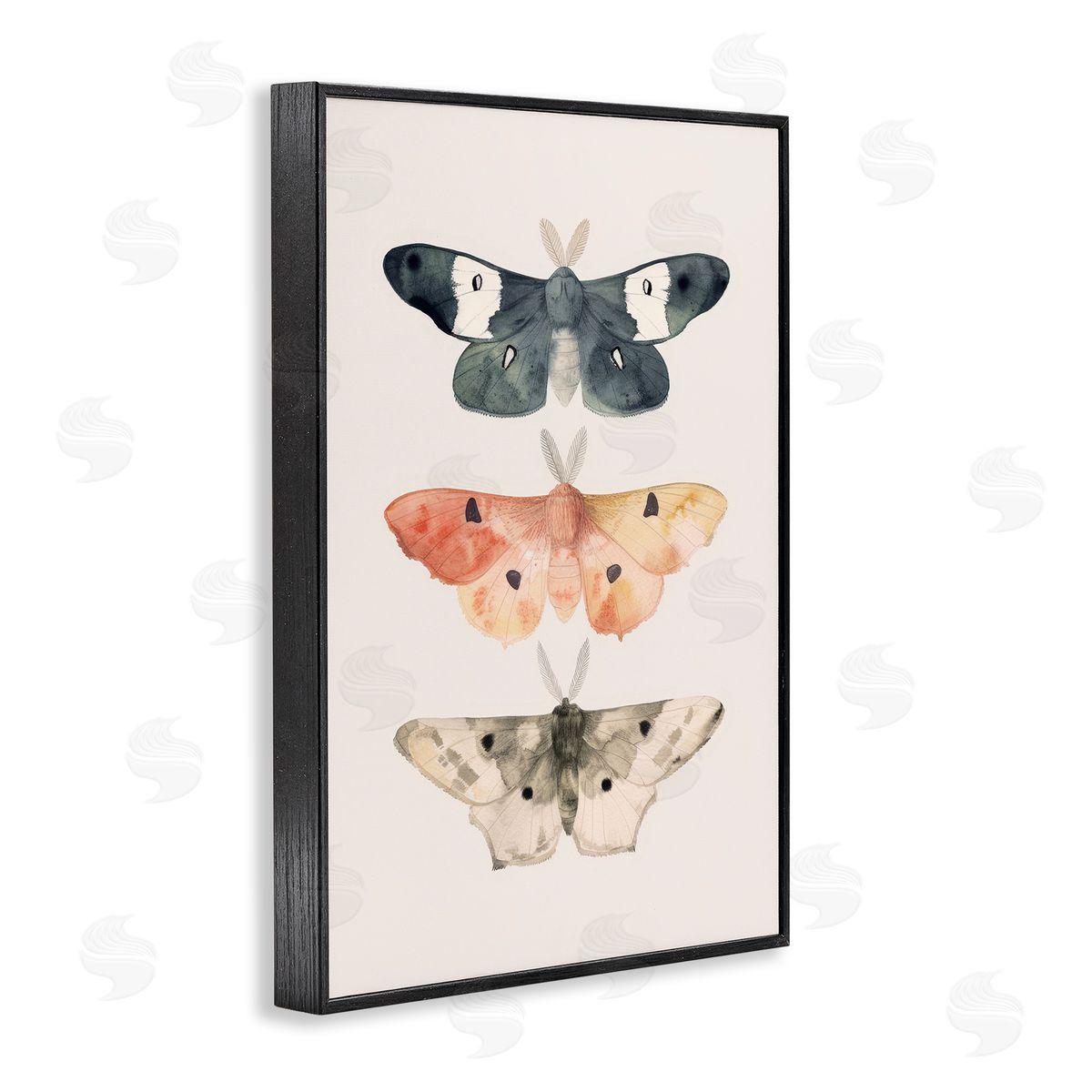Petal Prints Design Watercolor Moth Trio Black Framed Giclee Wall Art Print