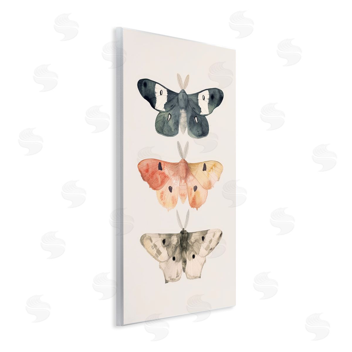 Petal Prints Design Watercolor Moth Trio Wooden Wall Plaque Art Print