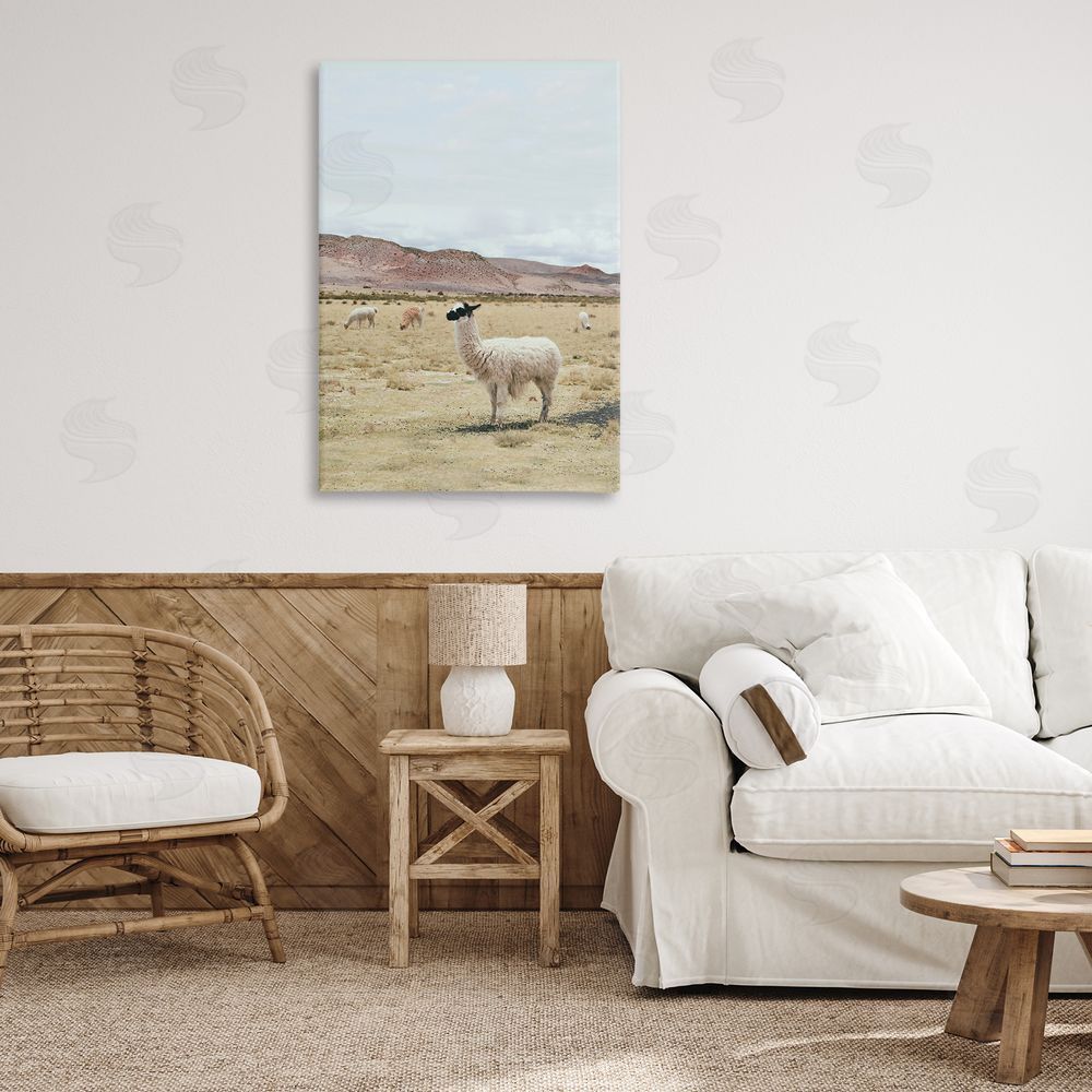 Sisi and Seb Wild Alpacas in Desert Canvas Wall Art Print in Room