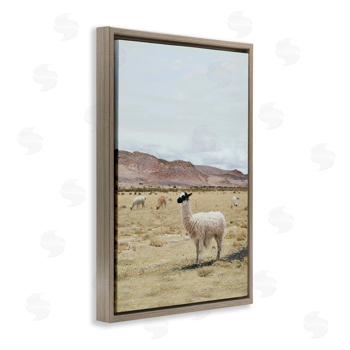 Sisi and Seb Wild Alpacas in Desert Brown Floating Frame Canvas Wall Art Print