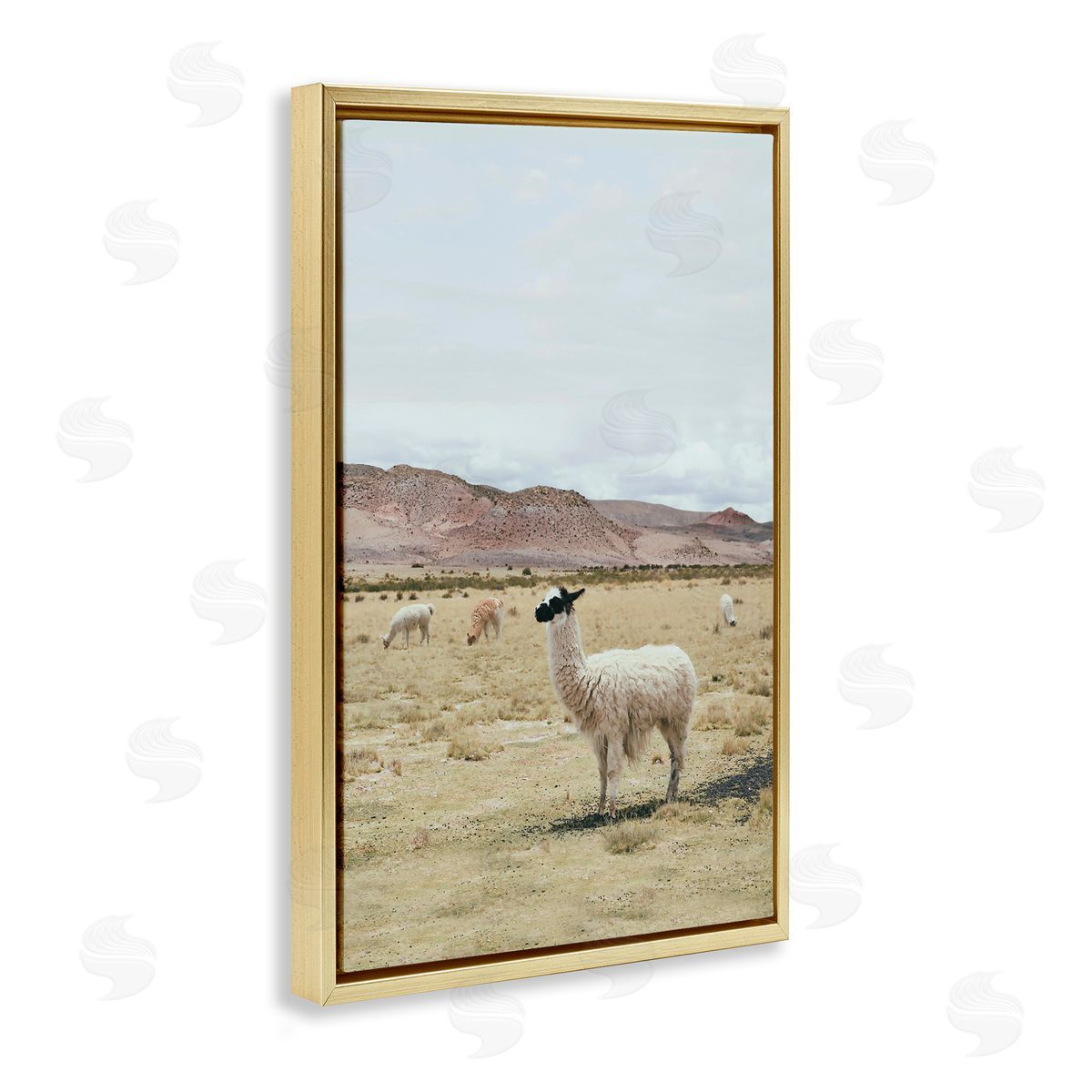 Sisi and Seb Wild Alpacas in Desert Gold Floating Frame Canvas Wall Art Print