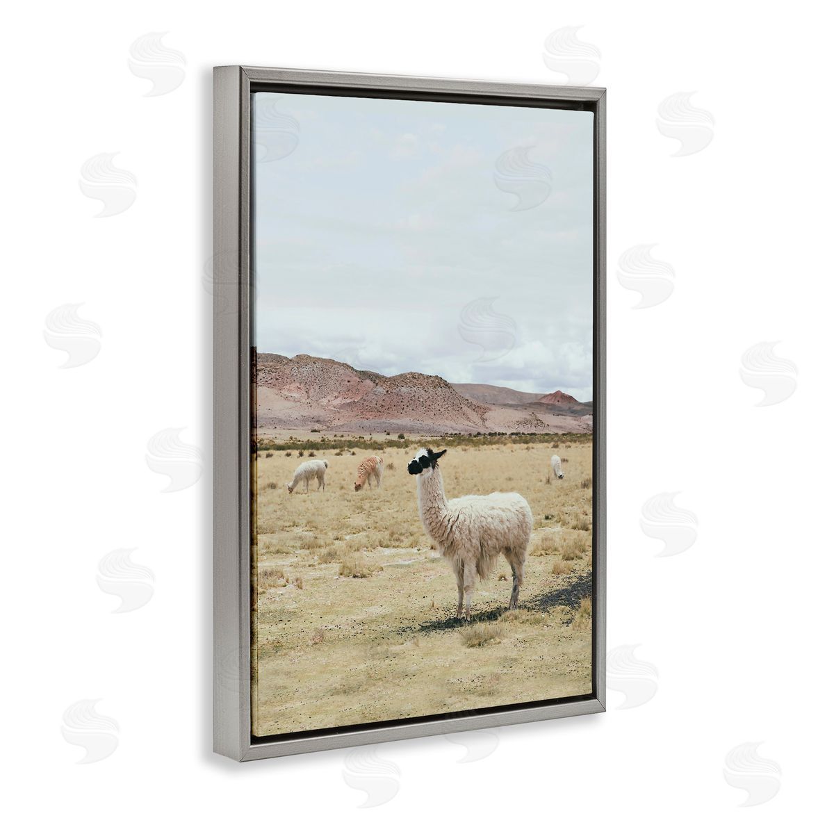 Sisi and Seb Wild Alpacas in Desert Gray Floating Frame Canvas Wall Art Print
