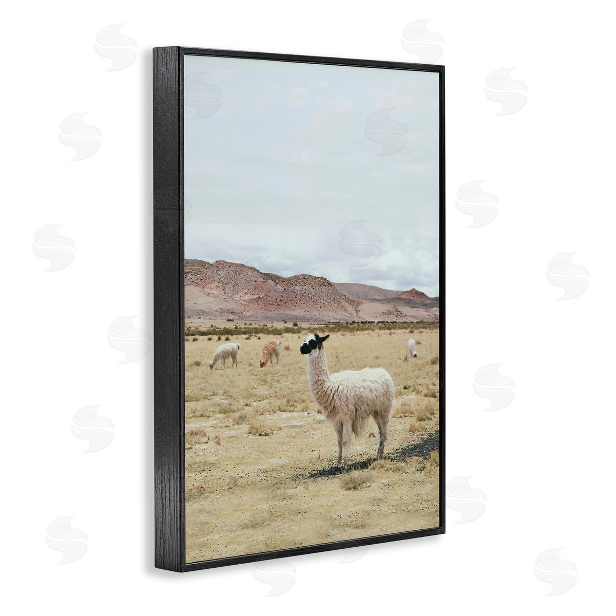 Sisi and Seb Wild Alpacas in Desert Black Framed Giclee Wall Art Print