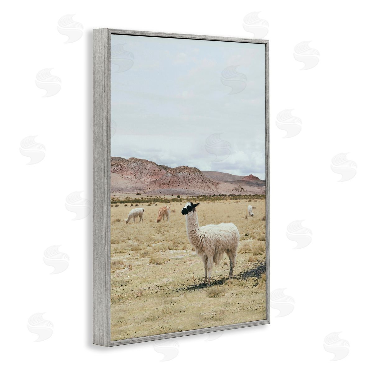 Sisi and Seb Wild Alpacas in Desert Gray Framed Giclee Wall Art Print