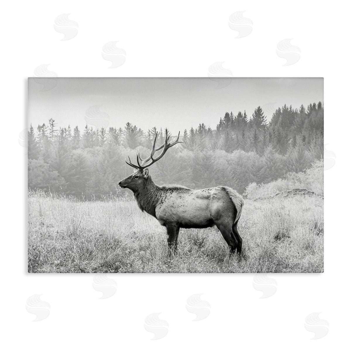 Sisi and Seb Stoic American Elk Canvas Wall Art Print
