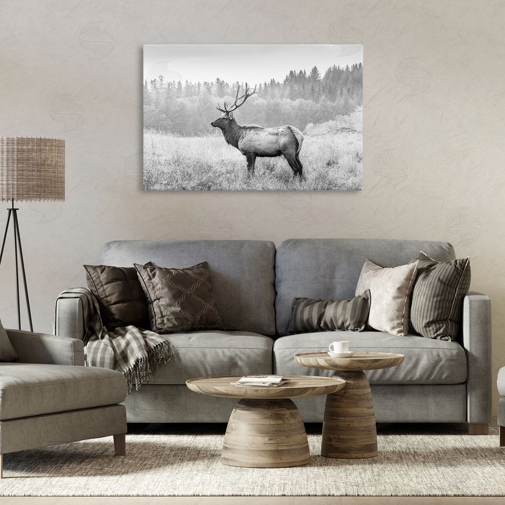 Sisi and Seb Stoic American Elk Canvas Wall Art Print in Room