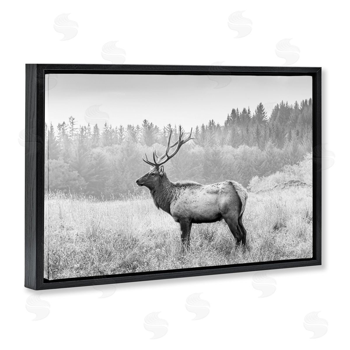 Sisi and Seb Stoic American Elk Black Floating Frame Canvas Wall Art Print