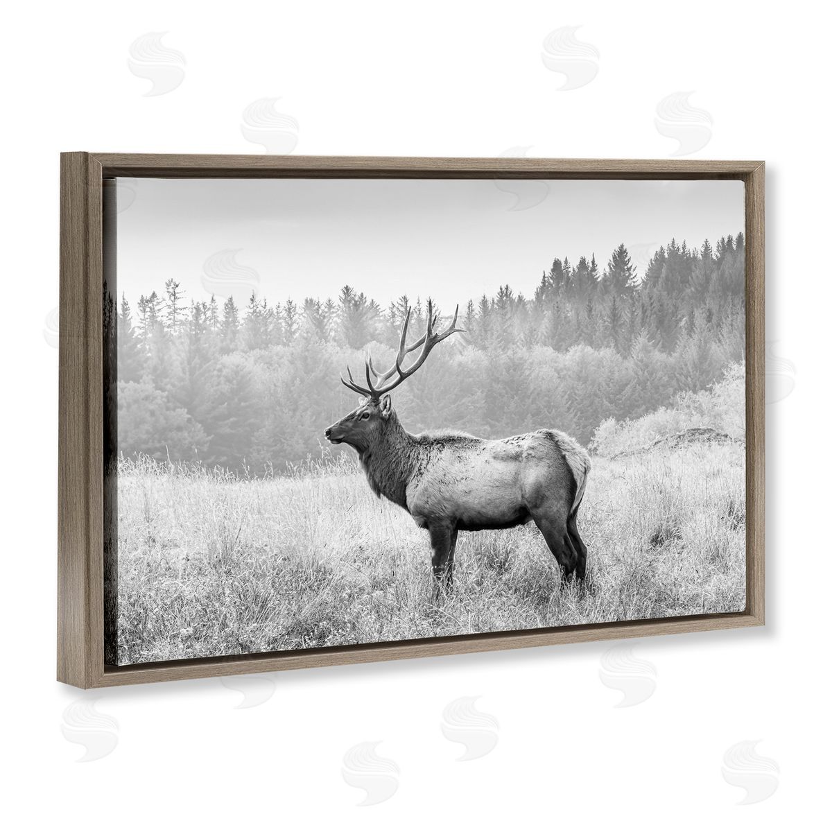 Sisi and Seb Stoic American Elk Brown Floating Frame Canvas Wall Art Print