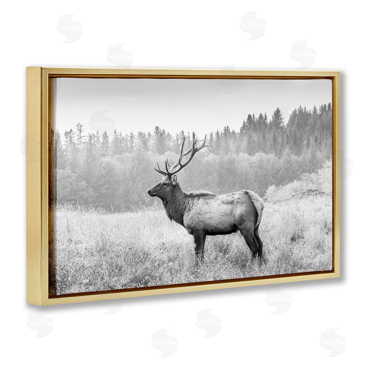 Sisi and Seb Stoic American Elk Gold Floating Frame Canvas Wall Art Print
