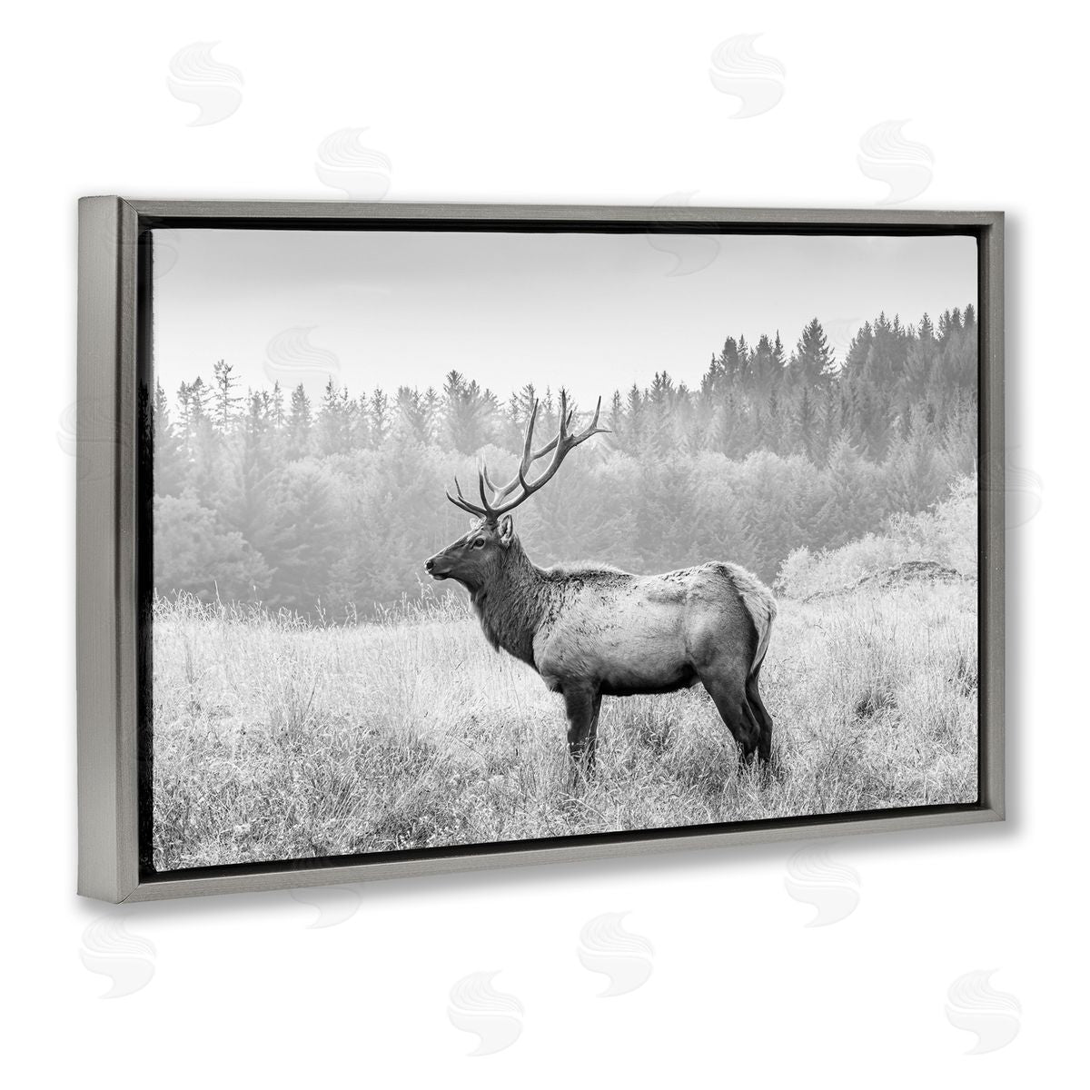Sisi and Seb Stoic American Elk Gray Floating Frame Canvas Wall Art Print