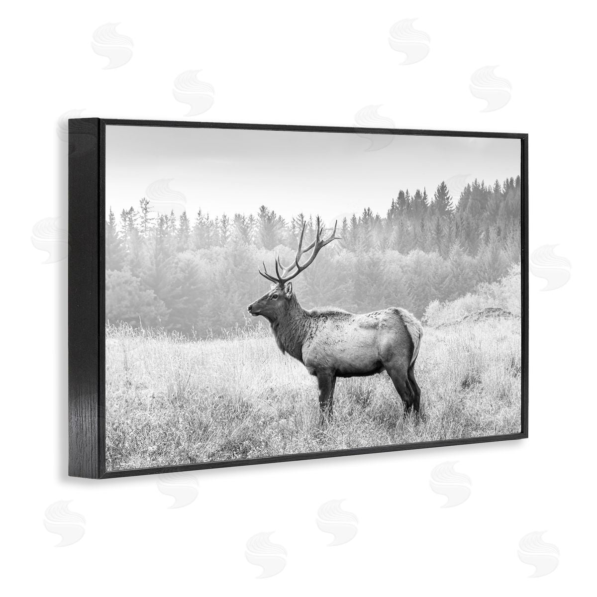 Sisi and Seb Stoic American Elk Black Framed Giclee Wall Art Print