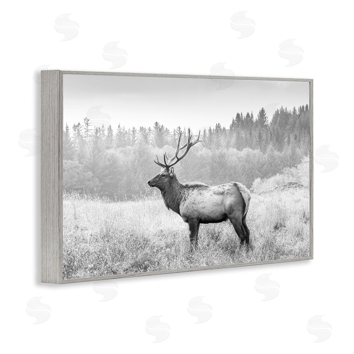 Sisi and Seb Stoic American Elk Gray Framed Giclee Wall Art Print