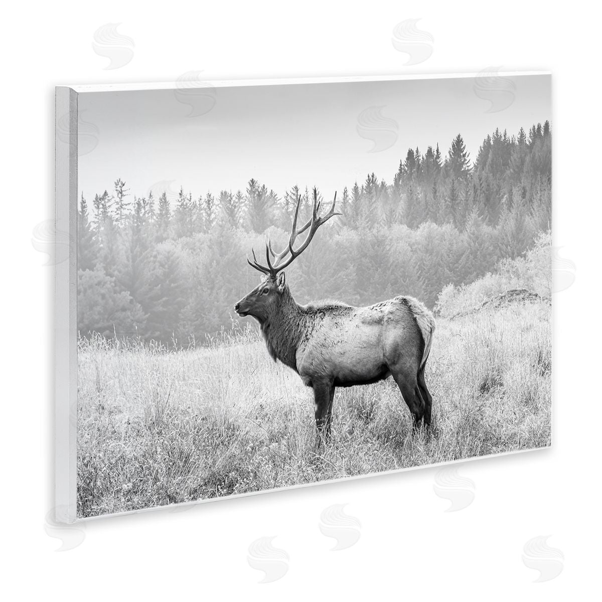 Sisi and Seb Stoic American Elk Wooden Wall Plaque Art Print