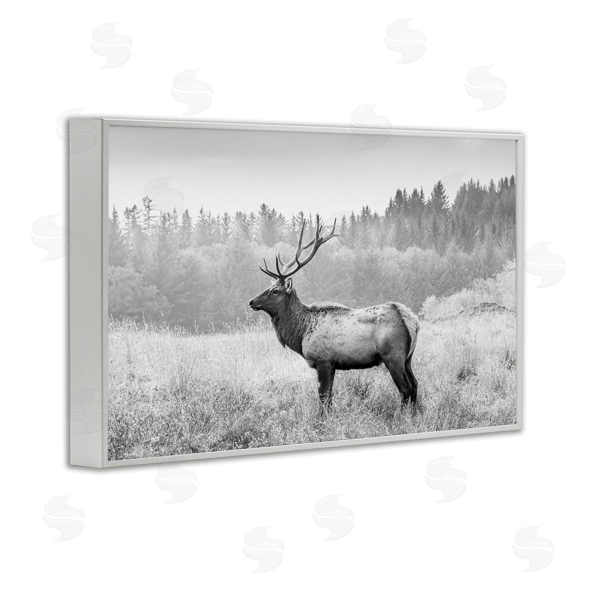 Sisi and Seb Stoic American Elk White Framed Giclee Wall Art Print
