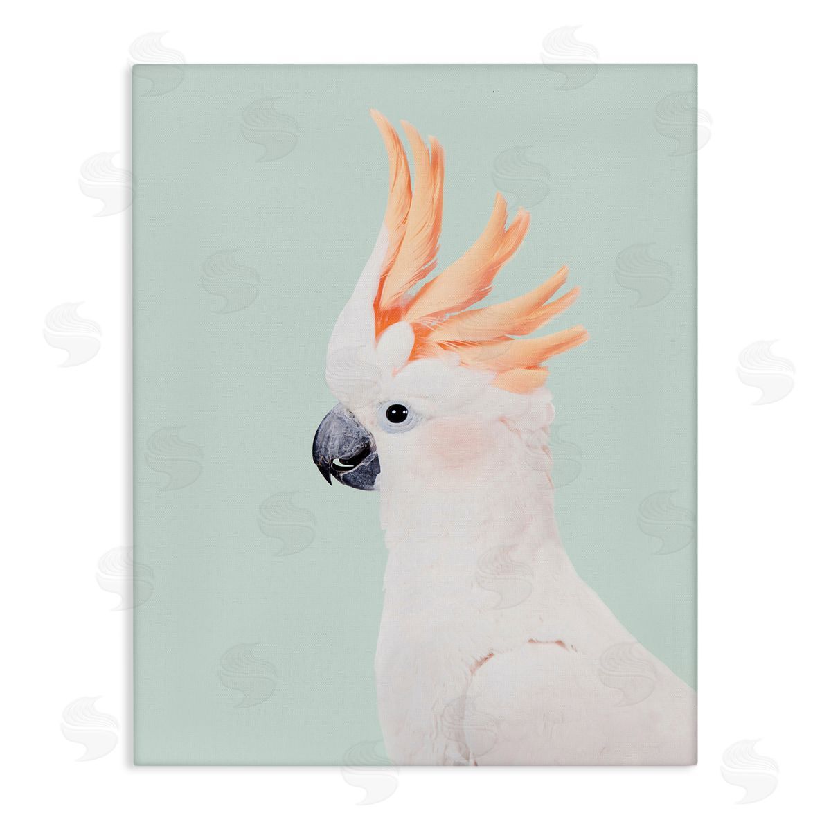 Sisi and Seb White Cockatoo Portrait Canvas Wall Art Print