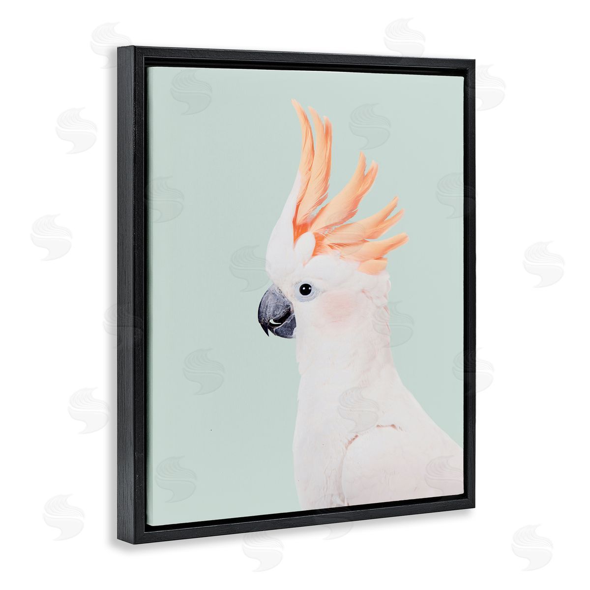 Sisi and Seb White Cockatoo Portrait Black Floating Frame Canvas Wall Art Print