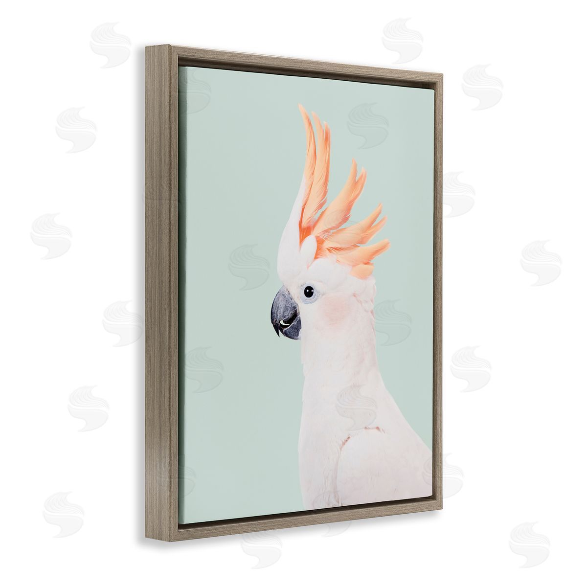 Sisi and Seb White Cockatoo Portrait Brown Floating Frame Canvas Wall Art Print