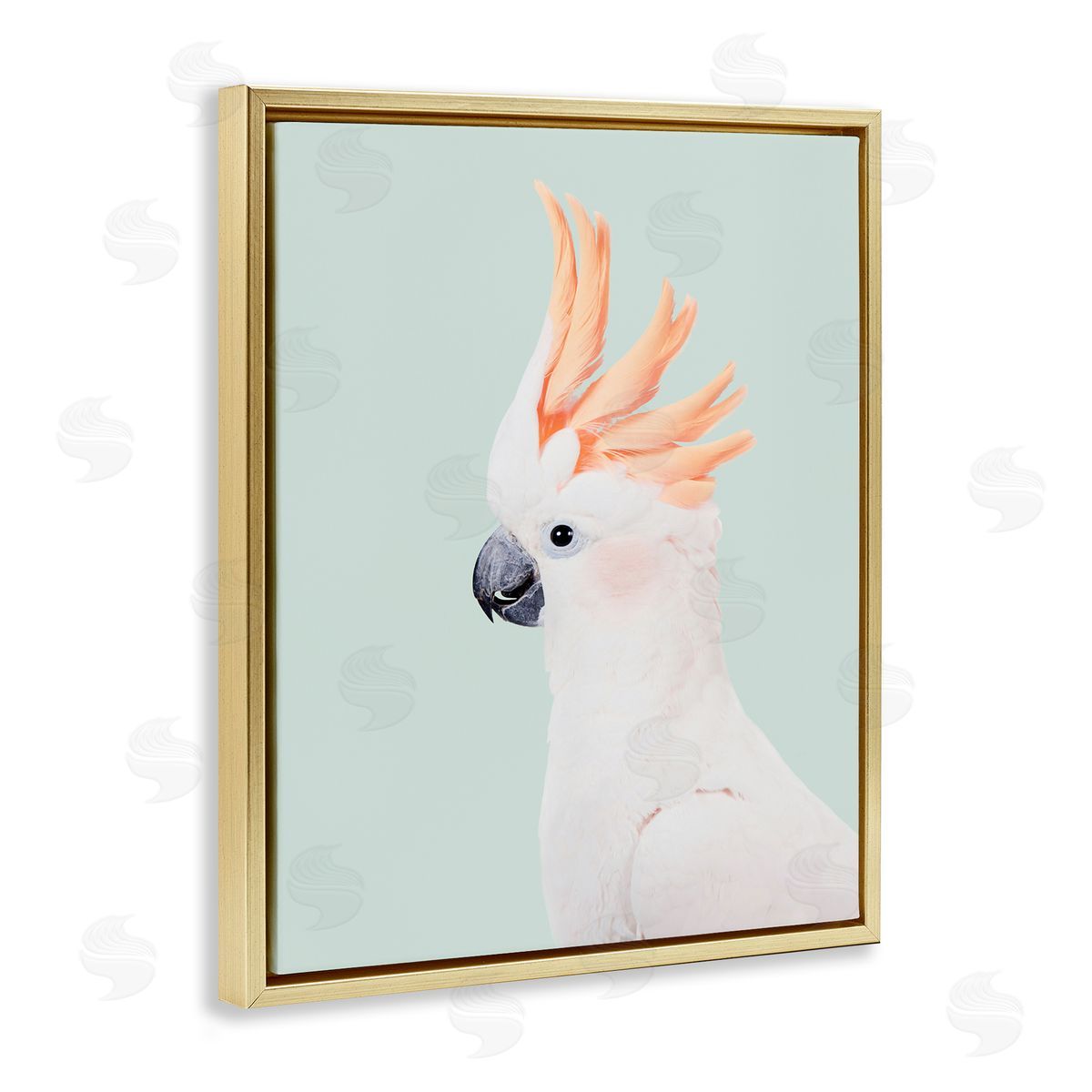 Sisi and Seb White Cockatoo Portrait Gold Floating Frame Canvas Wall Art Print