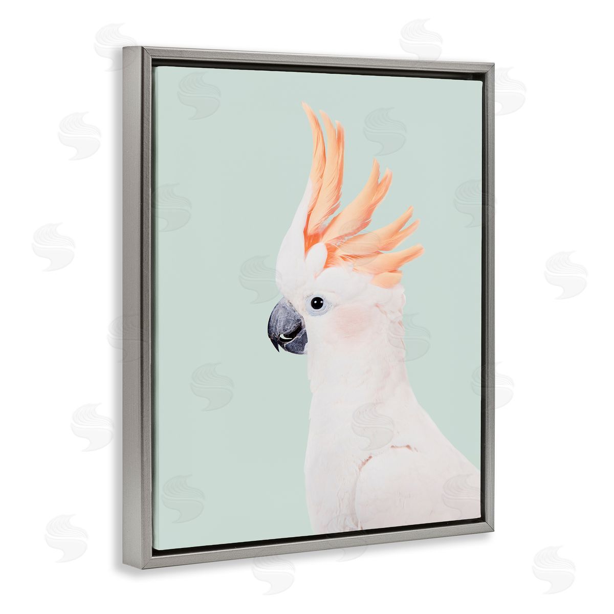 Sisi and Seb White Cockatoo Portrait Gray Floating Frame Canvas Wall Art Print