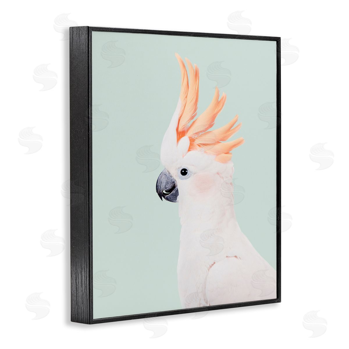 Sisi and Seb White Cockatoo Portrait Black Framed Giclee Wall Art Print