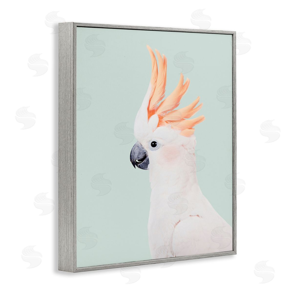 Sisi and Seb White Cockatoo Portrait Gray Framed Giclee Wall Art Print