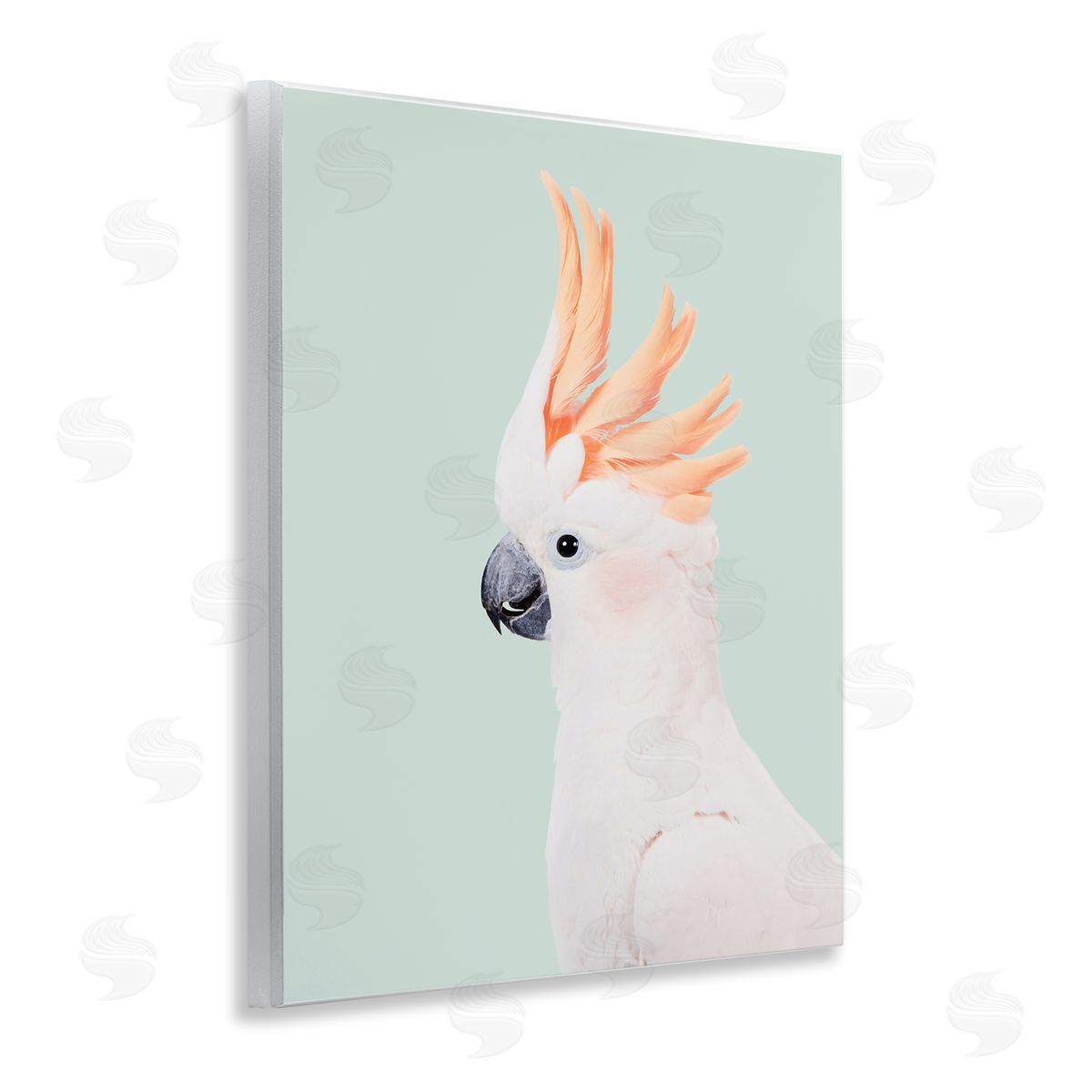 Sisi and Seb White Cockatoo Portrait Wooden Wall Plaque Art Print