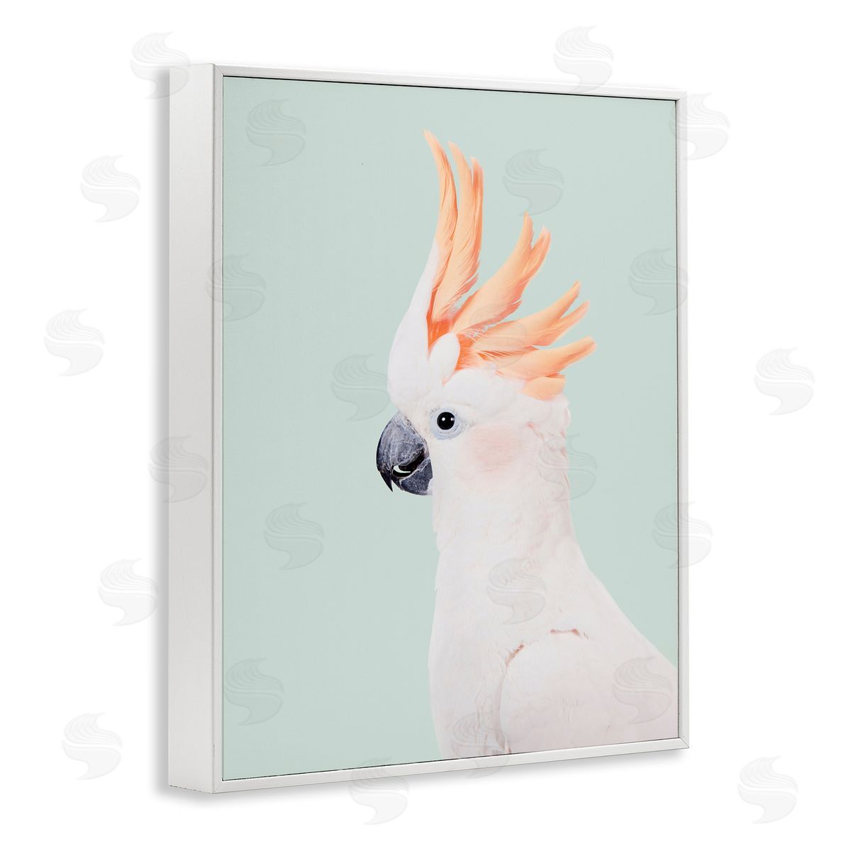 Sisi and Seb White Cockatoo Portrait White Framed Giclee Wall Art Print