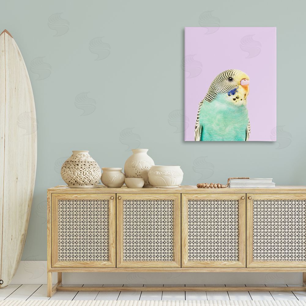 Sisi and Seb Pastel Budgie Bird Canvas Wall Art Print in Room