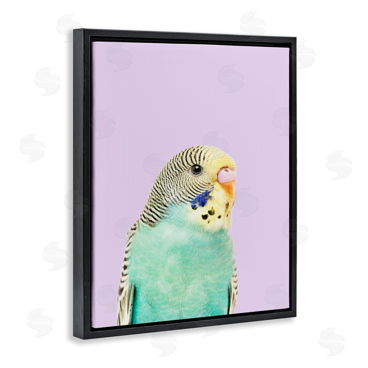 Sisi and Seb Pastel Budgie Bird Black Floating Frame Canvas Wall Art Print