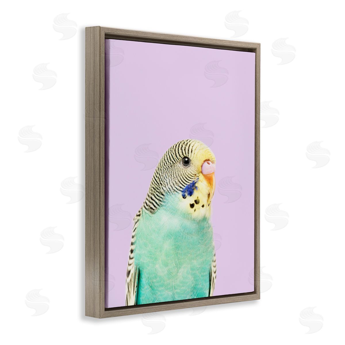Sisi and Seb Pastel Budgie Bird Brown Floating Frame Canvas Wall Art Print
